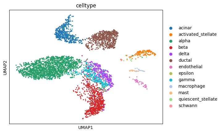 ../_images/tutorial_02.panc_mapping_28_0.png