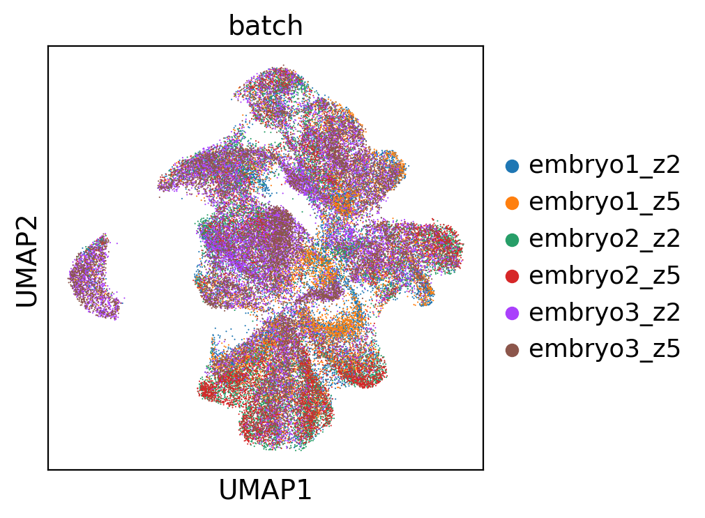 ../_images/tutorial_04.Garfield_spatia_molecular_niche_seqFISH_Mouse_Organogenesis_18_0.png