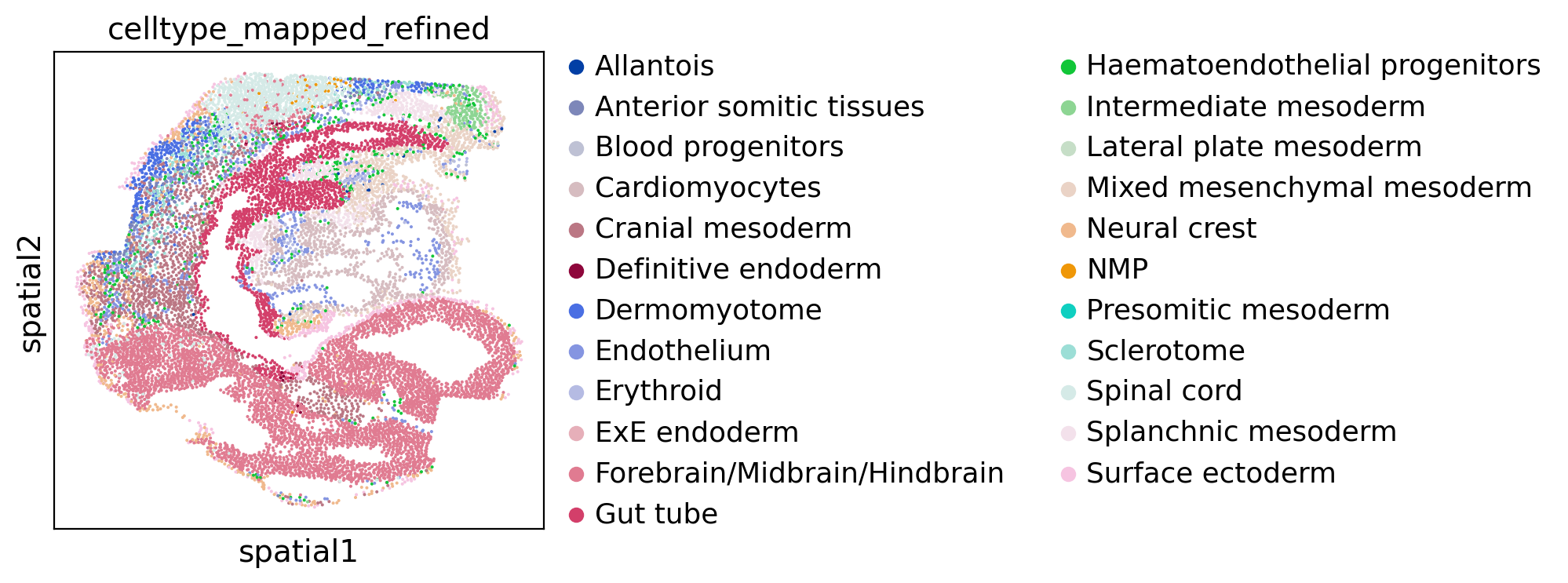 ../_images/tutorial_04.Garfield_spatia_molecular_niche_seqFISH_Mouse_Organogenesis_20_2.png