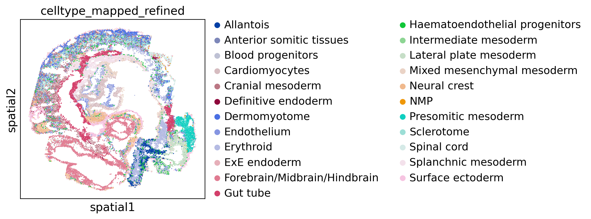 ../_images/tutorial_04.Garfield_spatia_molecular_niche_seqFISH_Mouse_Organogenesis_20_4.png