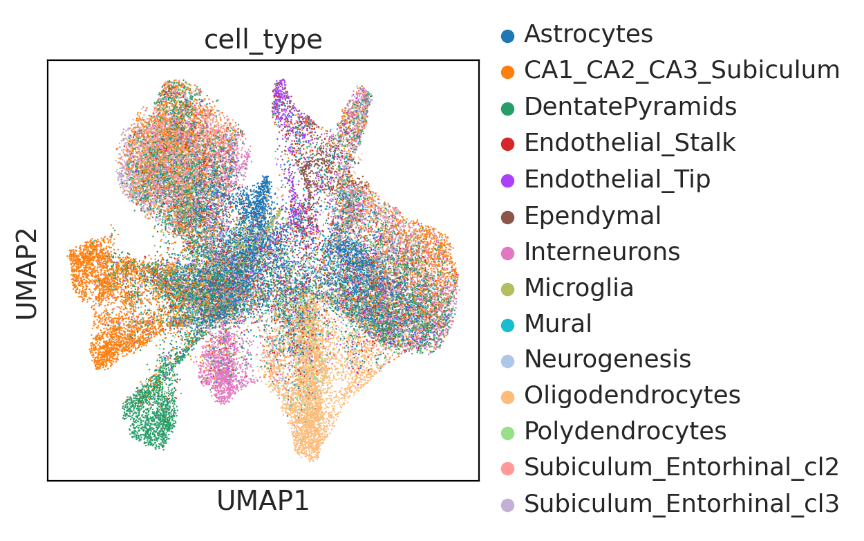 ../_images/tutorial_05.Garfield_spatial_niche_slideseqv2_mouse_hippocampus_15_0.png